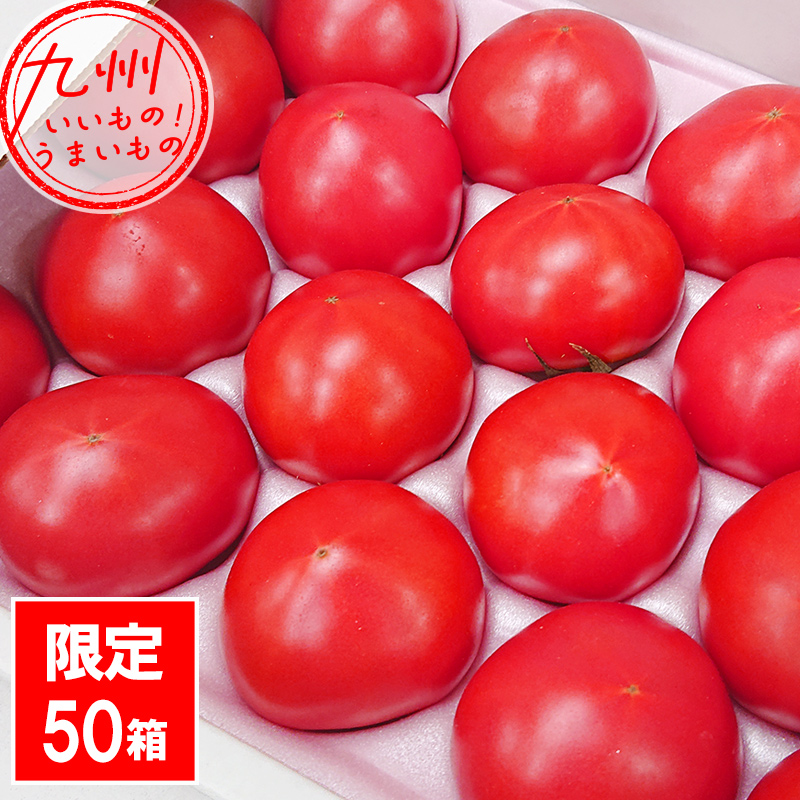 福岡県産 若松トマト 1.2kg