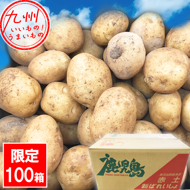 鹿児島県徳之島産 新じゃがいも（ニシユタカ） 2L～3L 10kg箱 JA