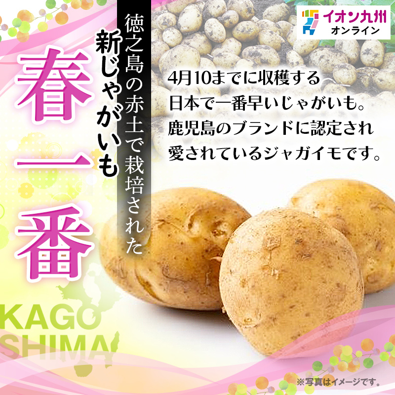 じゃがどん | かごしまの食