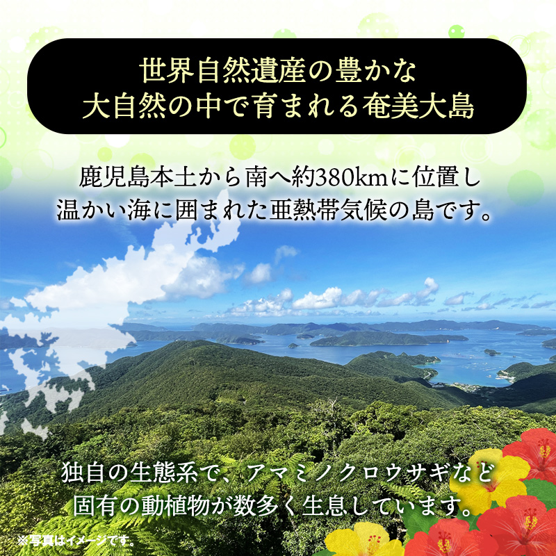 鹿児島県産 【あまみ産パッションフルーツ】 等級A 12玉入り 1kg