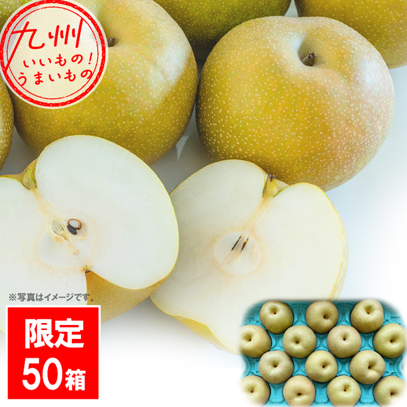 福岡県産 幸水梨 5kg 12～14玉 JAあさくら | 【公式】イオン九州