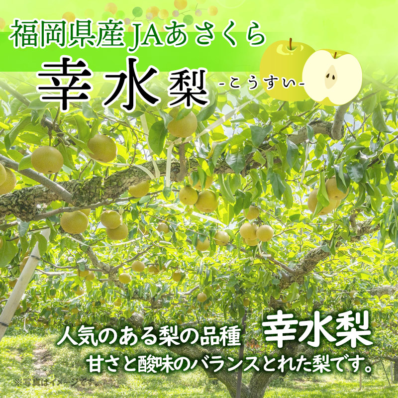 福岡県産 幸水梨 5kg 12～14玉 JAあさくら | 【公式】イオン九州