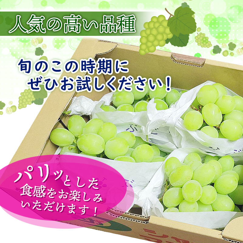 momo佐賀県伊万里産　　シャインマスカット約4キロ　クール便 佐賀県産 シャインマスカット 2kg 4～5房 JA伊万里 | 【公式