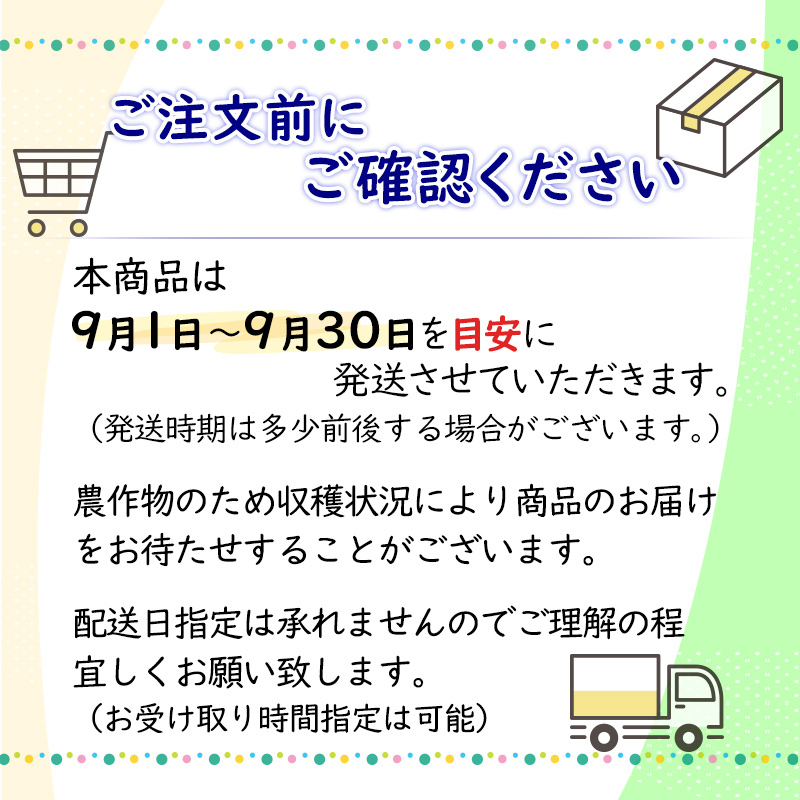 佐賀県産 シャインマスカット 2kg 4～5房 JA伊万里 | 【公式