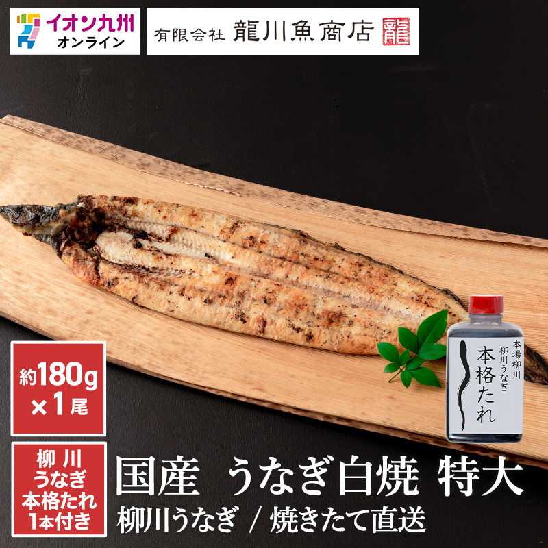 焼きたて直送 国産うなぎ白焼き1尾 特大約180g（柳川うなぎ本格たれ1本