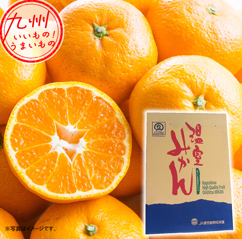 ゆずみかん様 取り置き ゆずみかん様 取り置き ゆずみかん様 取り置き