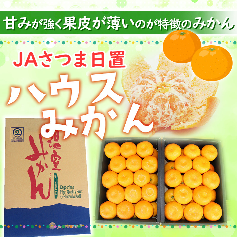 ハウスみかん化粧箱2.4kg詰め（L～S） JAさつま日置 | 【公式】イオン
