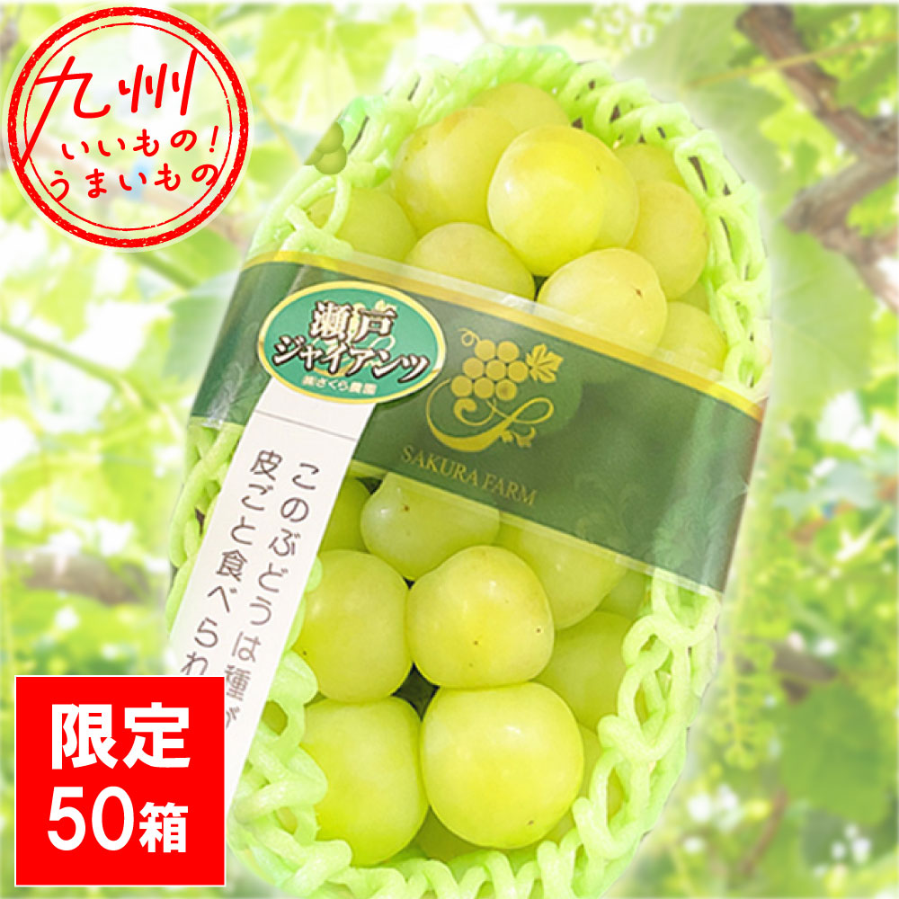 瀬戸ジャイアンツ 1.3kg以上 霧島さくらフルーツランド | 【公式