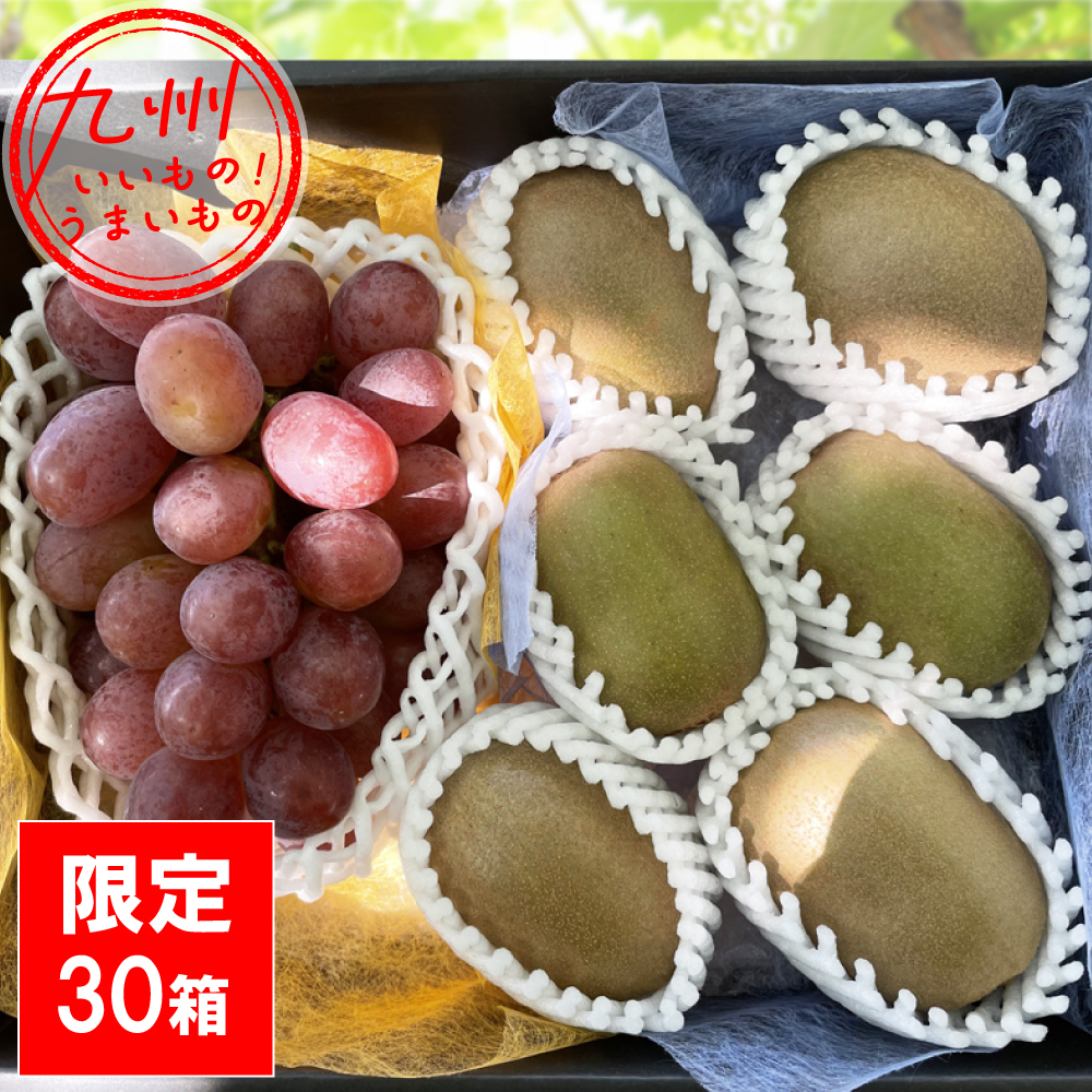紫苑＋キウイ（3種）ぶどう・キウイセット 1.1kg 霧島さくらフルーツランド