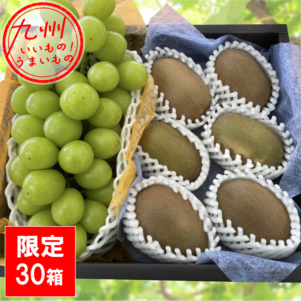 シャインマスカット＋キウイ（3種）ぶどう・キウイセット 1.3kg 霧島さくらフルーツランド