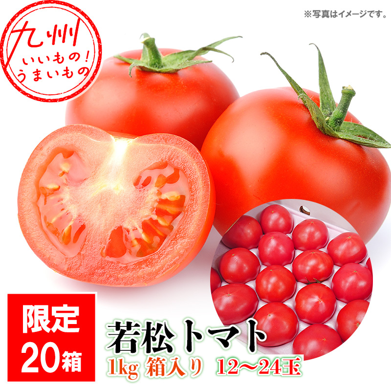 福岡県産若松トマト 1kg 箱入り 12～24玉