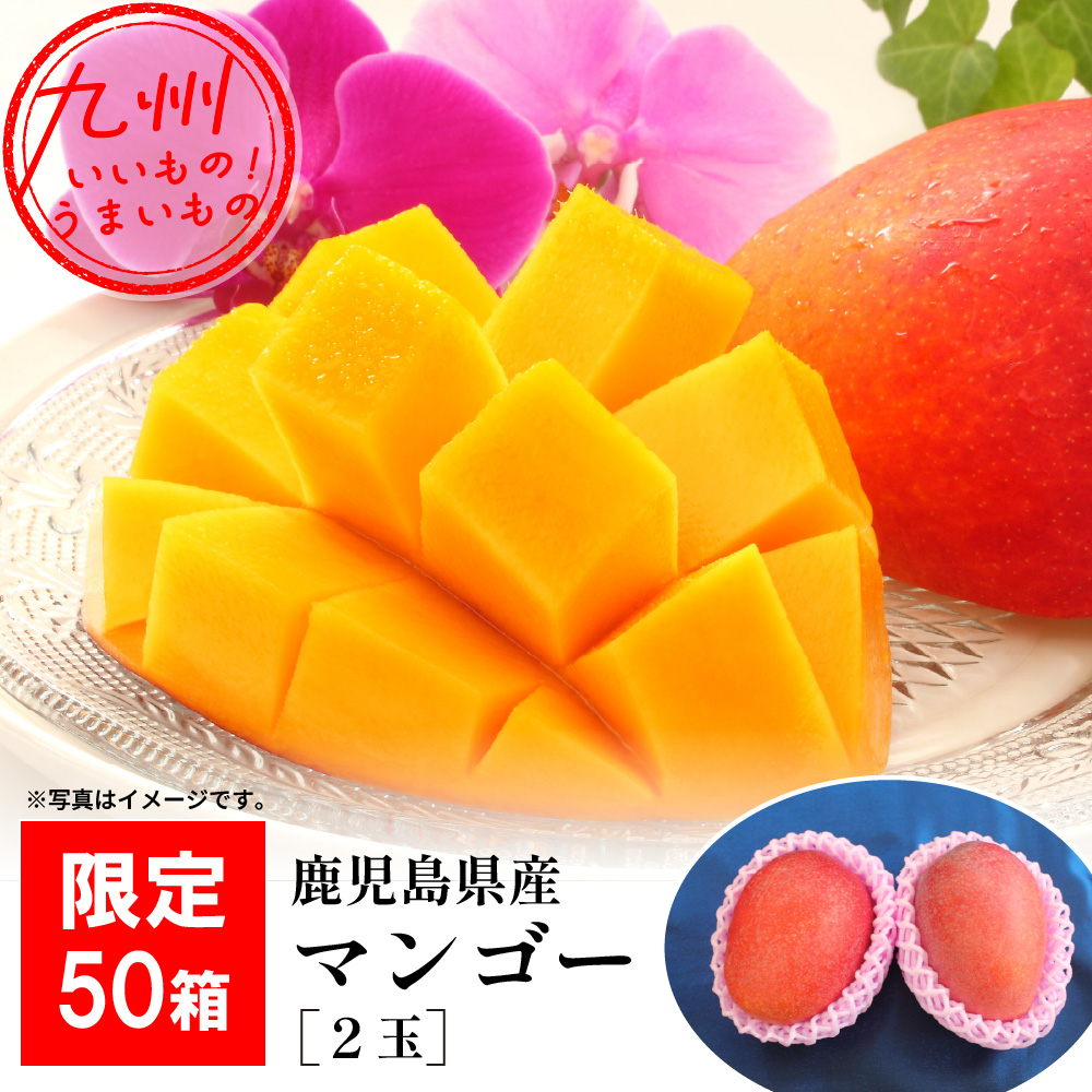 鹿児島県産【マンゴー】約800g（2玉入り）