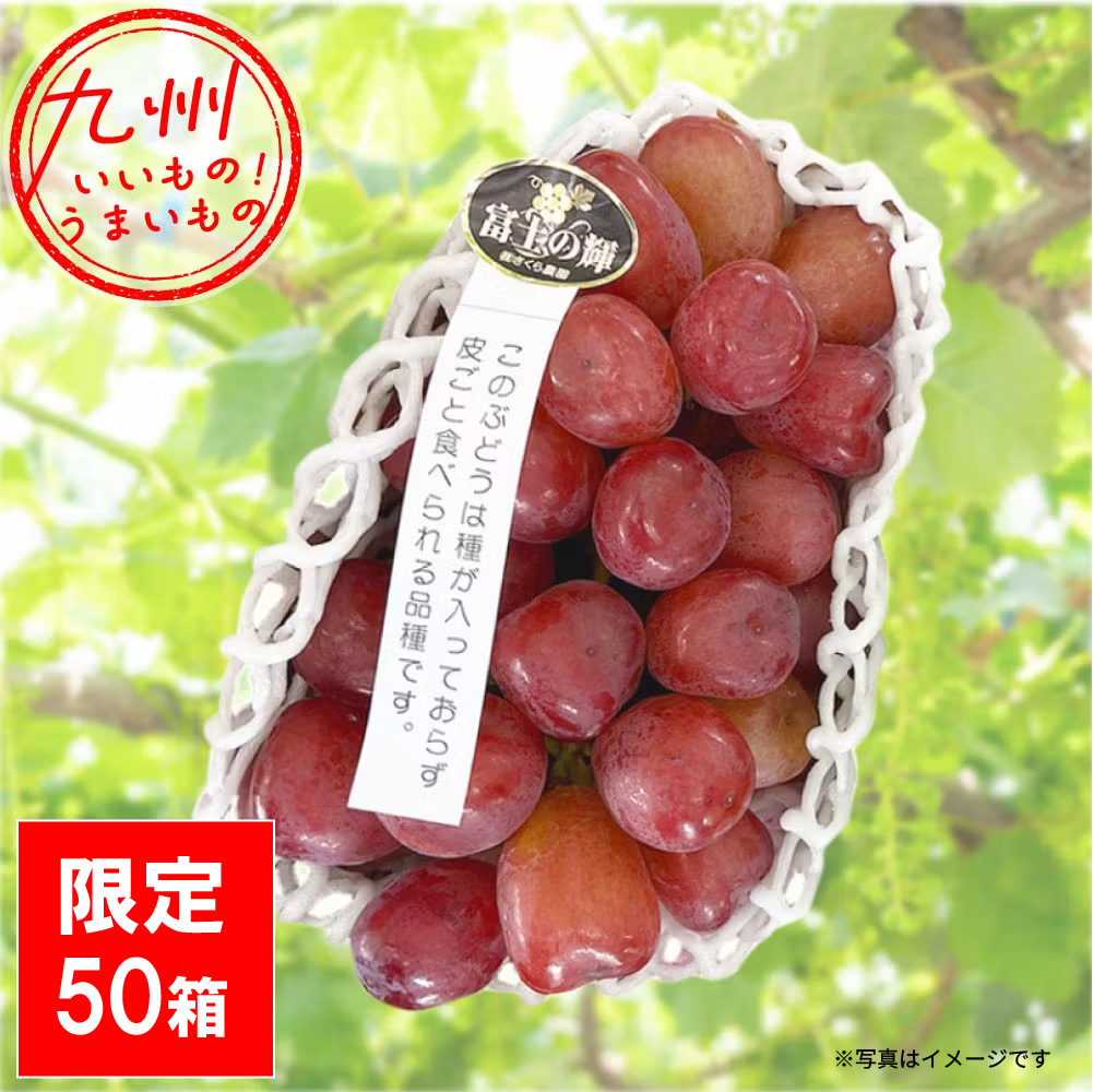 ブラックシャインマスカット【富士の輝】約700g 霧島さくらフルーツランド