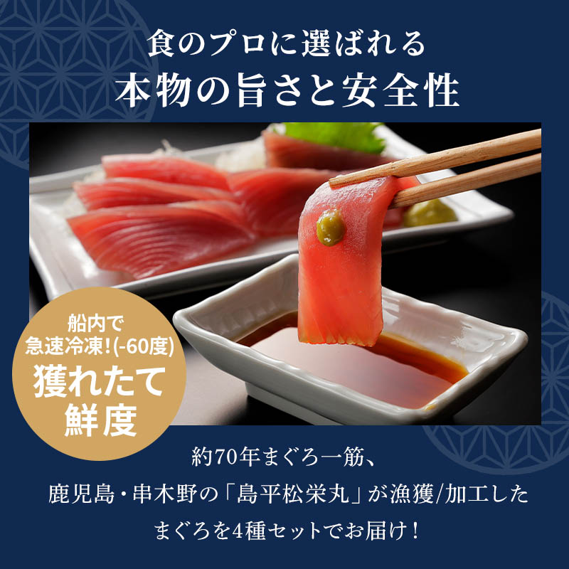 冷凍まぐろ4種セット6~7人前 新洋水産 | イオン九州オンライン 冷凍まぐろ4種セット6~7人前 新洋水産 | イオン九州オンライン