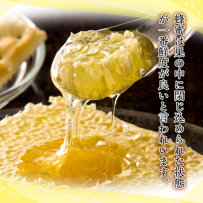 国産蜂蜜専門店 九州蜂の子本舗＞ 国産純粋 極巣みつ（巣蜜