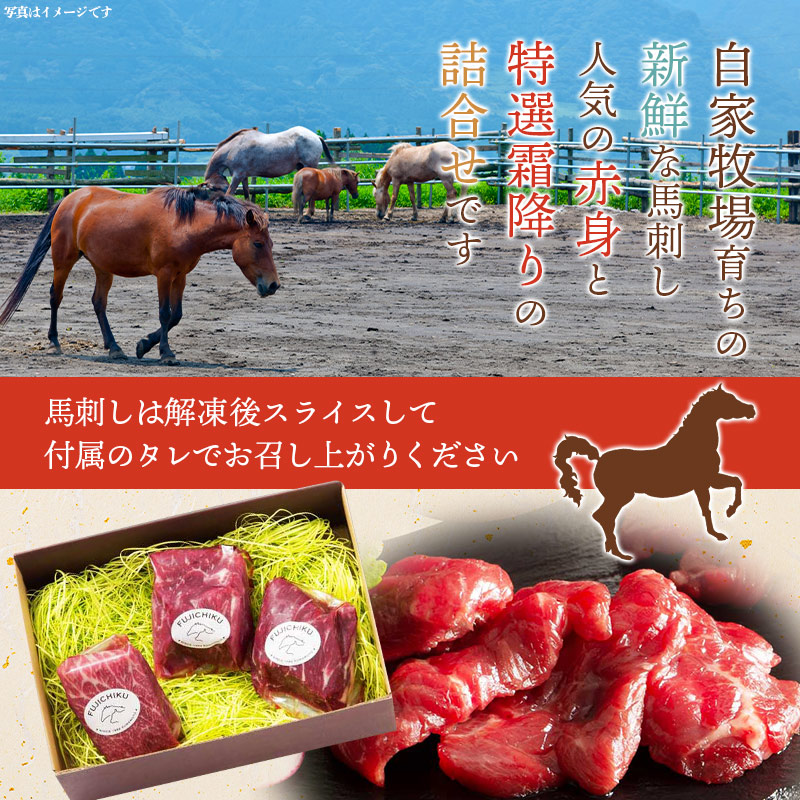 馬刺し フジチク ふじ馬刺し詰合せ【竹】中トロ 80g 上赤身 80g×2