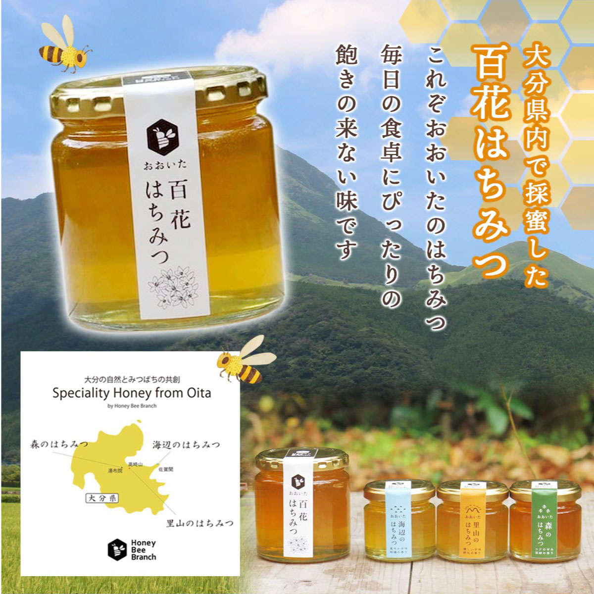 花猫　百花はちみつ【1200g】・栗のはちみつ【300g】 hyakka_1200_thumbnail.png?v=