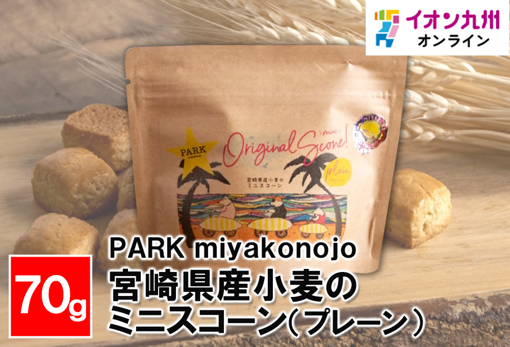 宮崎県産小麦のミニスコーン（プレーン） | 【公式】イオン九州