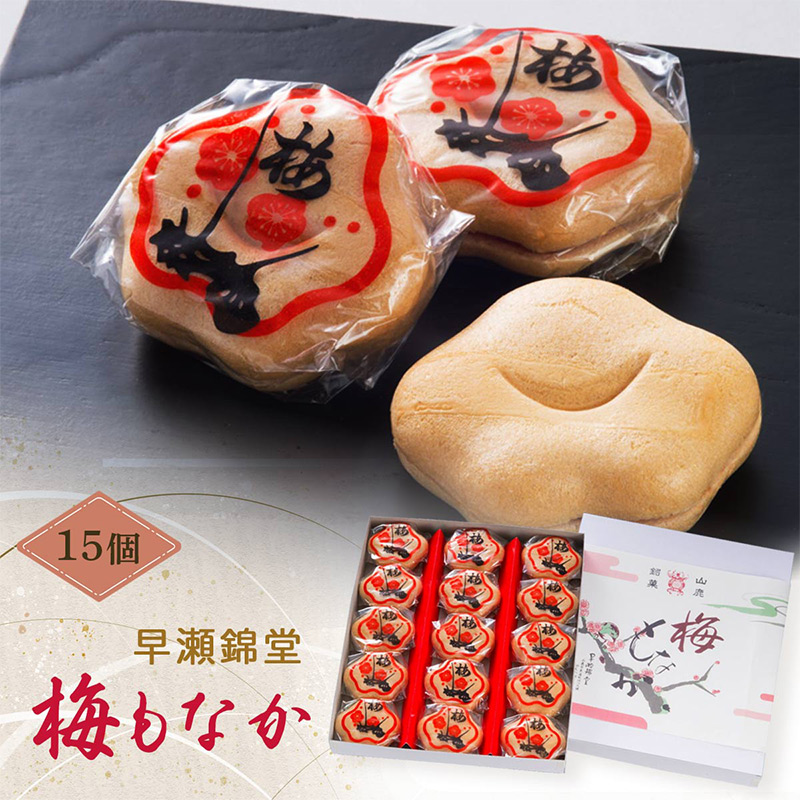 最中 山鹿燈籠もなか 梅