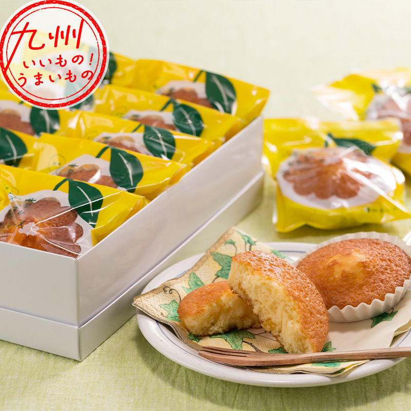 Amazon.co.jp: 河内晩柑「天草晩柑 熊本県天草市直送」 (A品