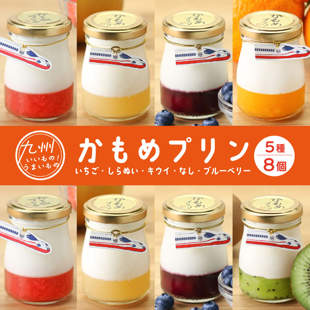 かもめプリン5種8個セット