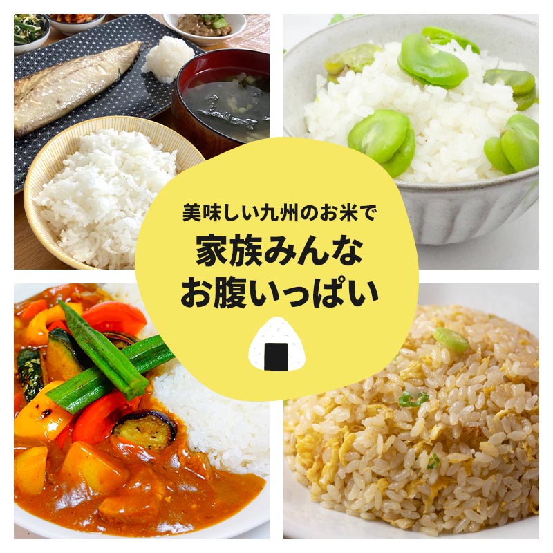 お米　小城地区 限定 さがびより　5kg　佐賀県小城市　追加購入ok　コメ　精米 佐賀ブランド米「さがびより」5kg さかぐち - 佐賀県小城市