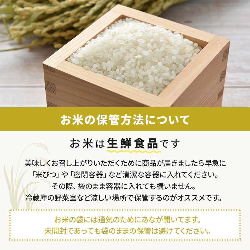 令和6年産　佐賀県産さがびより30k 楽天市場】【令和6年度産】 佐賀県産 さがびより 30kg (5kg×6