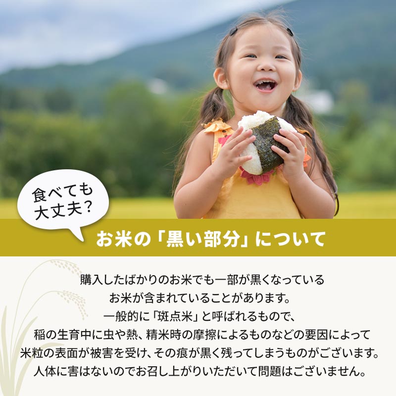 お米　さがびより　5kg　佐賀　九州　追加購入ok 令和6年産 佐賀県産さがびより 5kg | 【公式】イオン九州