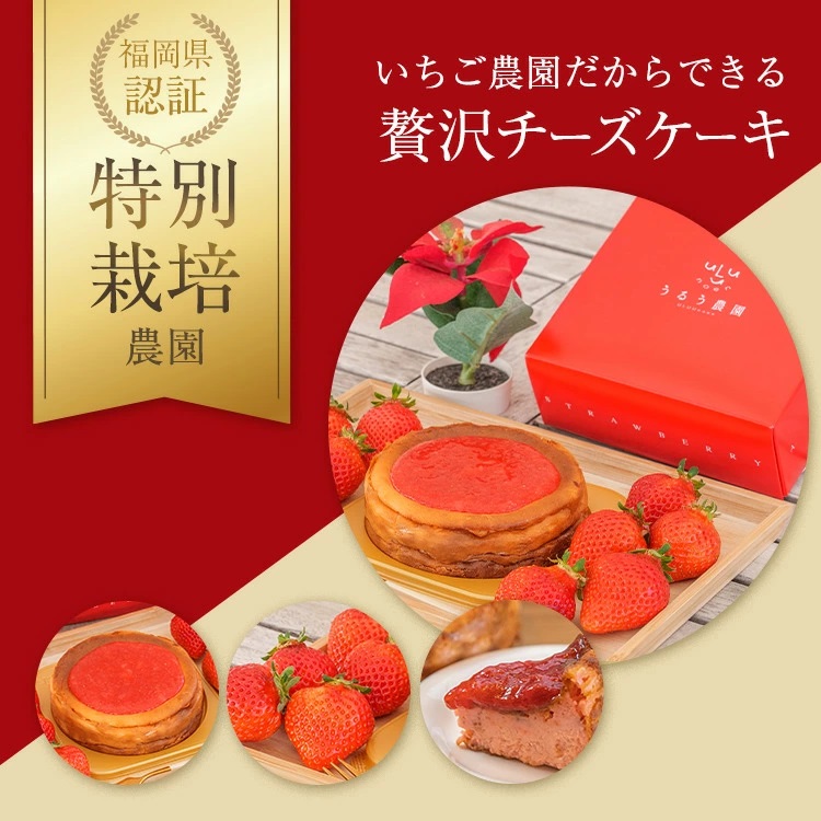 あまおうチーズケーキ 12センチ 約380g