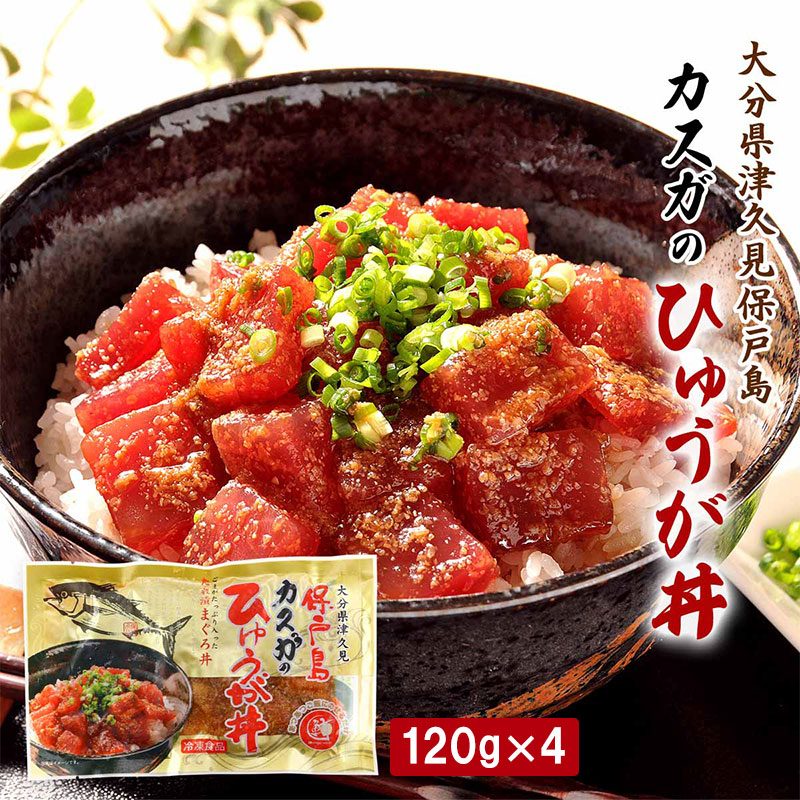カスガのひゅうが丼 120g×4