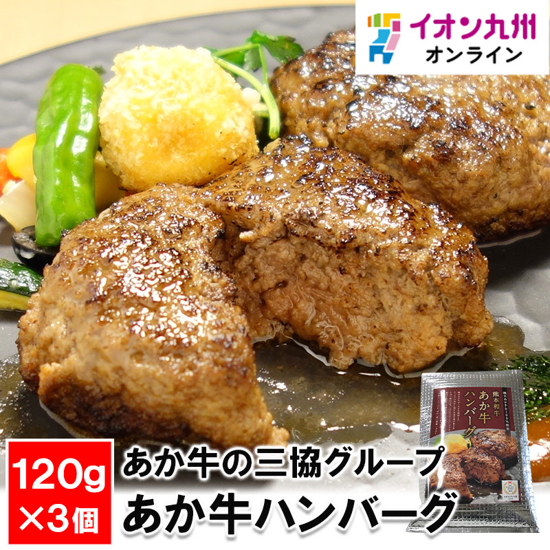 あか牛の三協グループ あか牛ハンバーグ120g×3個セットあか牛の三協グループ あか牛ハンバーグ120g×3個セット