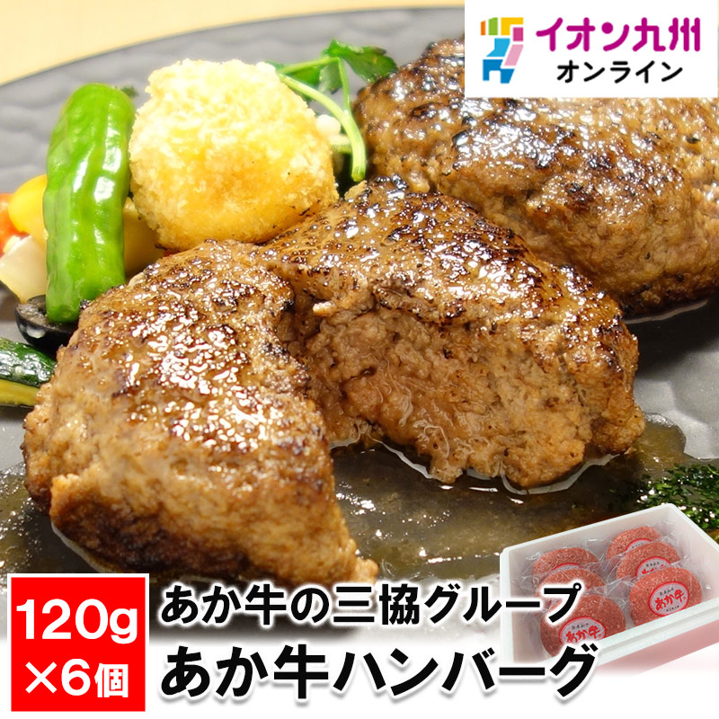 あか牛の三協グループ あか牛ハンバーグ120g×6個セット | 【公式