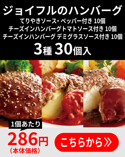 ハンバーグ3種30個入り