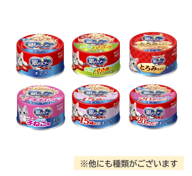 銀のスプーン缶 13歳 ささみ 70g | 【公式】イオン九州オンライン