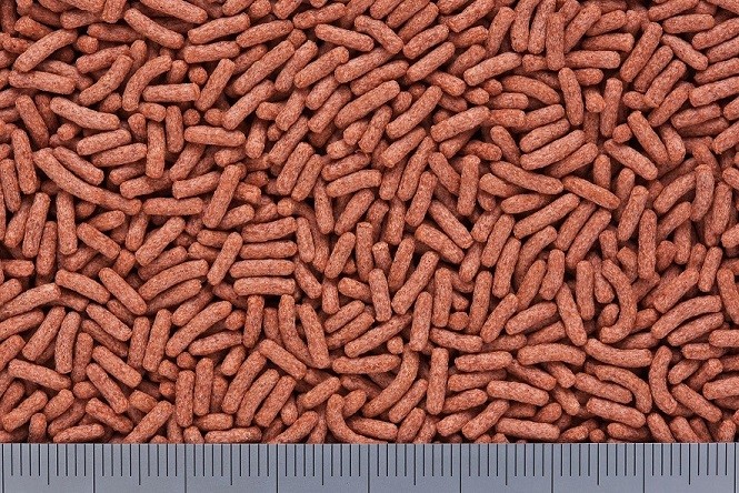 カメプロス プレミアム小スティック 70g | 【公式】イオン九州