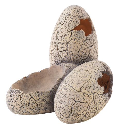 ジェックス エキゾテラ 恐竜の卵 S | 【公式】イオン九州オンライン