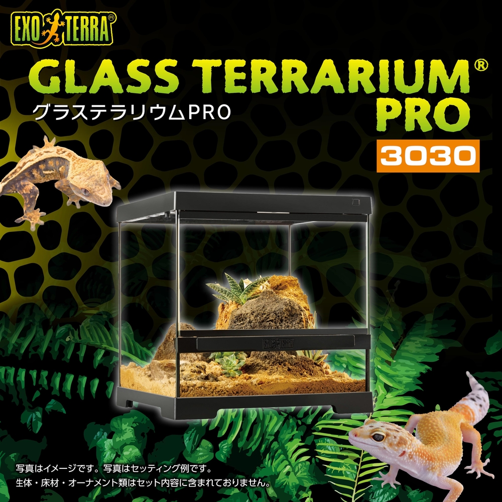 ジェックス エキゾテラ グラステラリウム PRO 3030 爬虫類飼育ゲージ