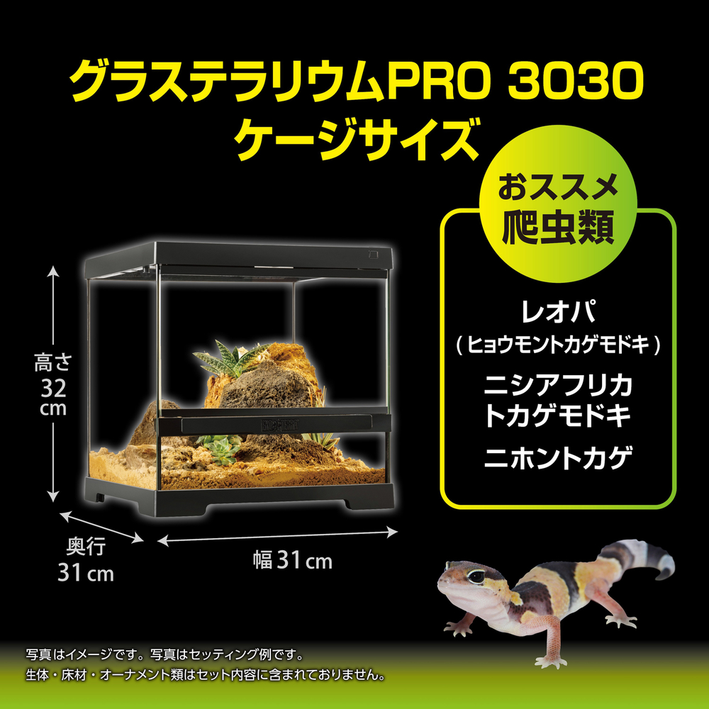 ジェックス エキゾテラ グラステラリウム PRO 3030 爬虫類飼育ゲージ