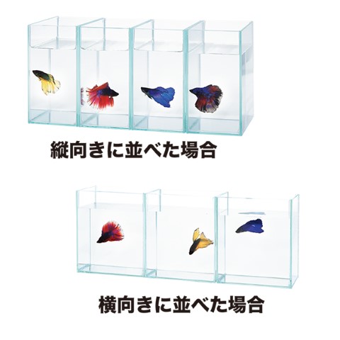 水作 ショーベタ コレクションケース М | 【公式】イオン九州