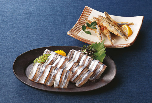 破格値下げ】 鹿児島産きびなご刺身 40尾×3パック 鹿児島産きびなご刺身 40尾×3パック