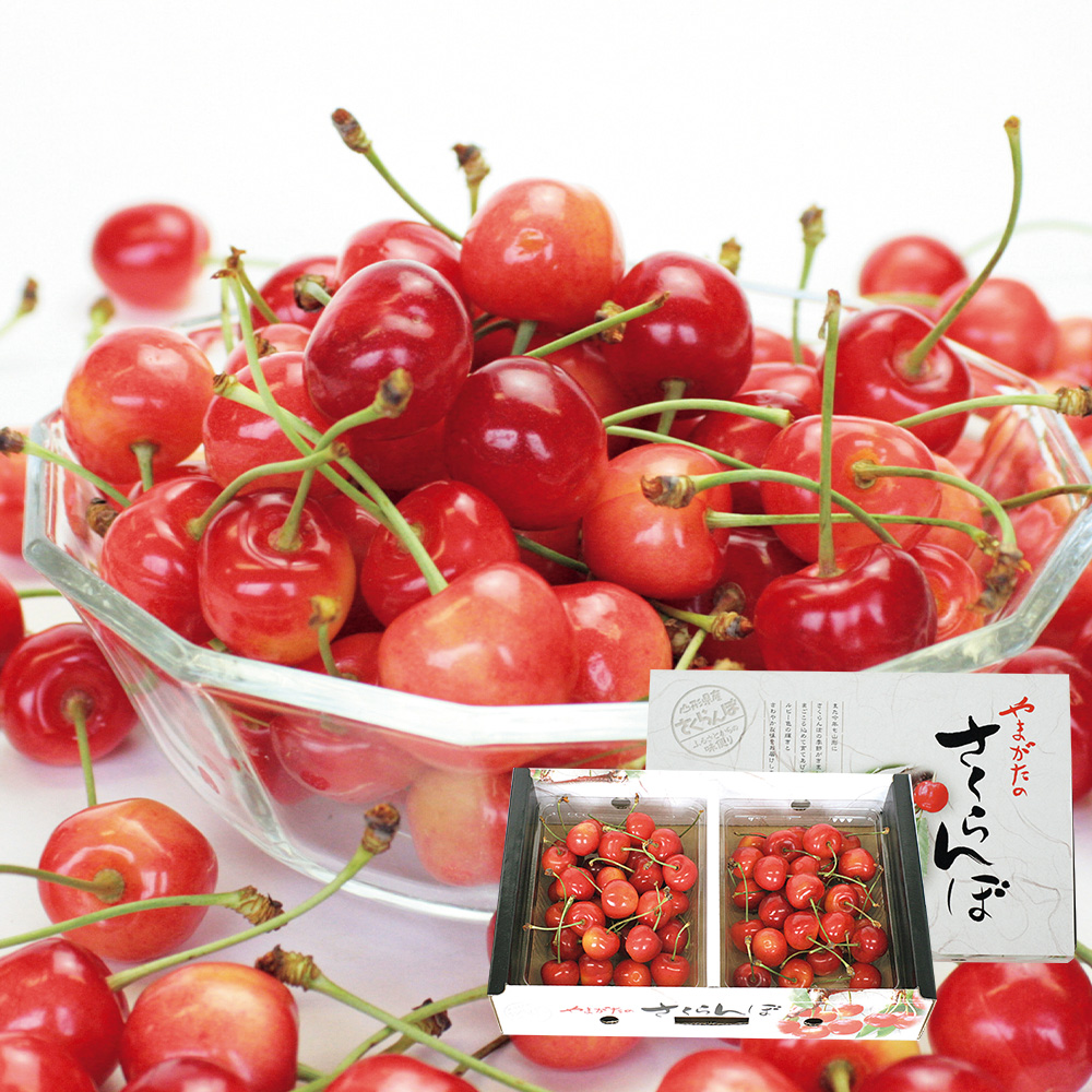 ❤️order専用 新色natural さくらんぼ❤️
