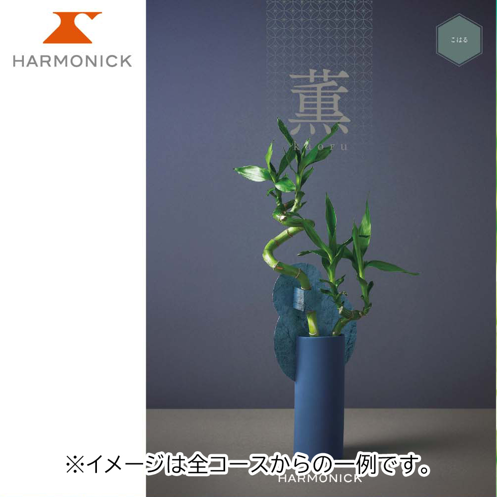 ハーモニック 薫 おぼろづき | 【公式】イオン九州オンラインストア・通販