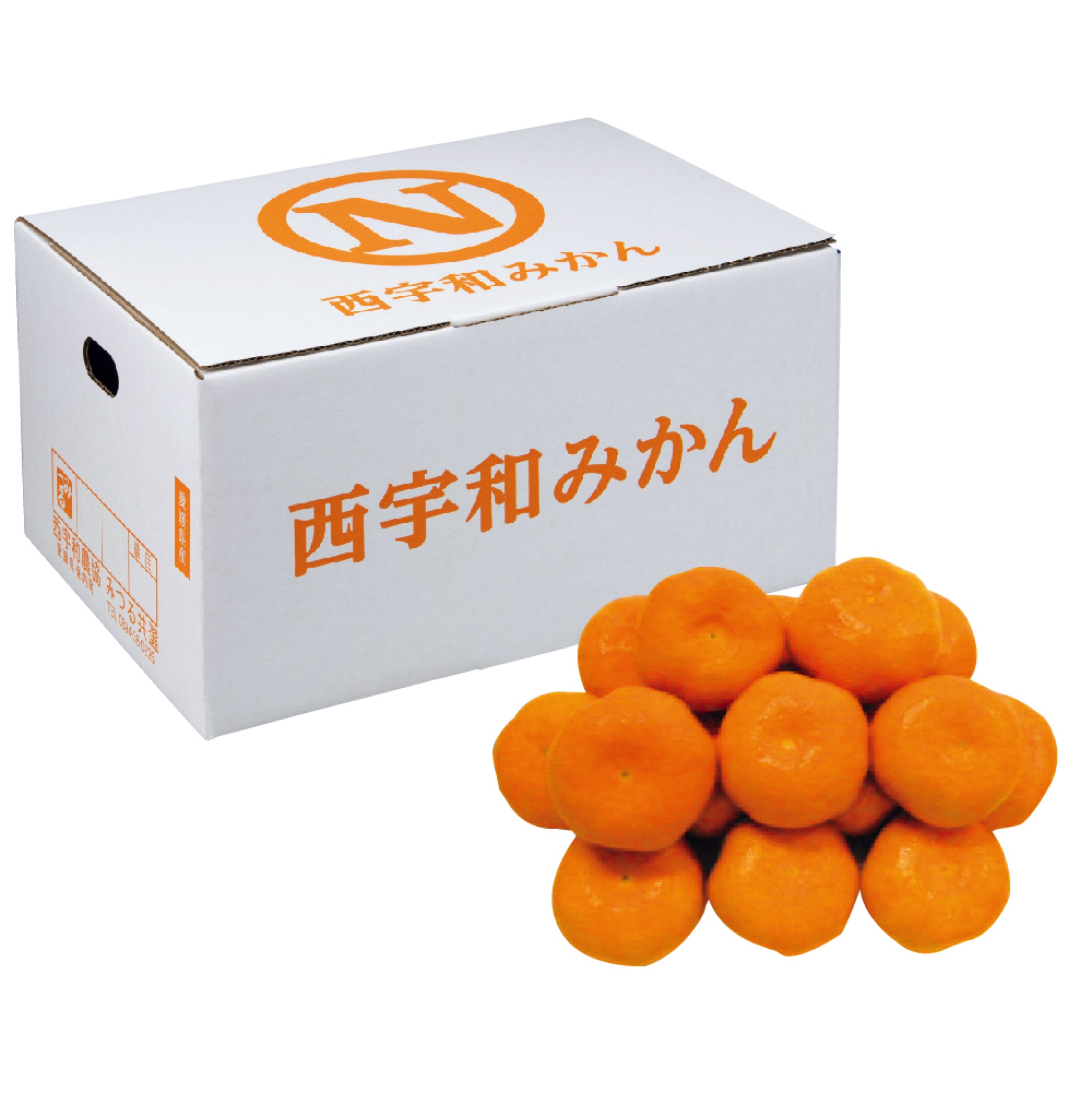 愛媛県産（JA西宇和みつる共選） みつるみかん 白箱（お届け期間：11