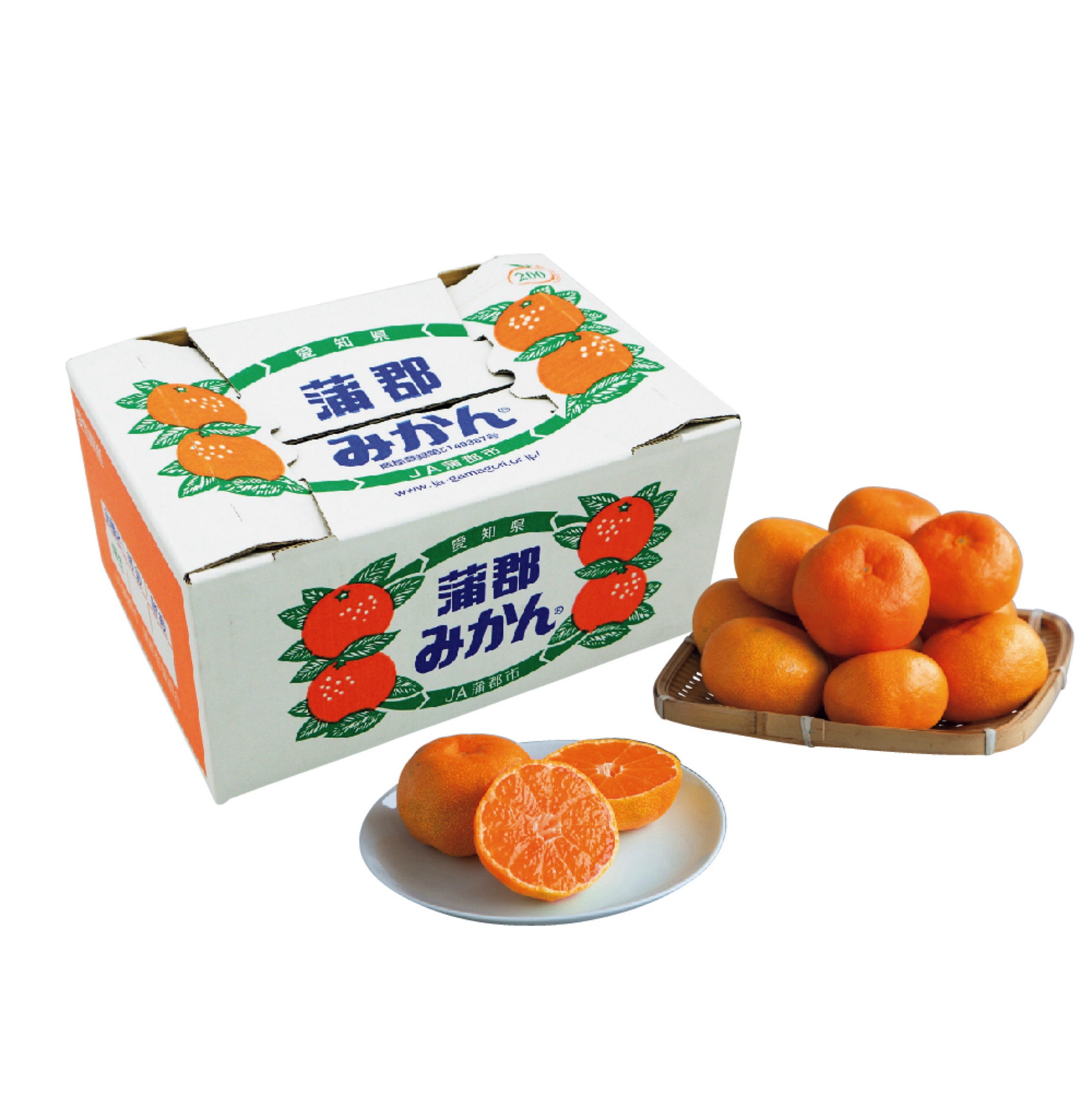 愛知県産 蒲郡みかん（お届け期間：11/15～12/28） | 【公式】イオン