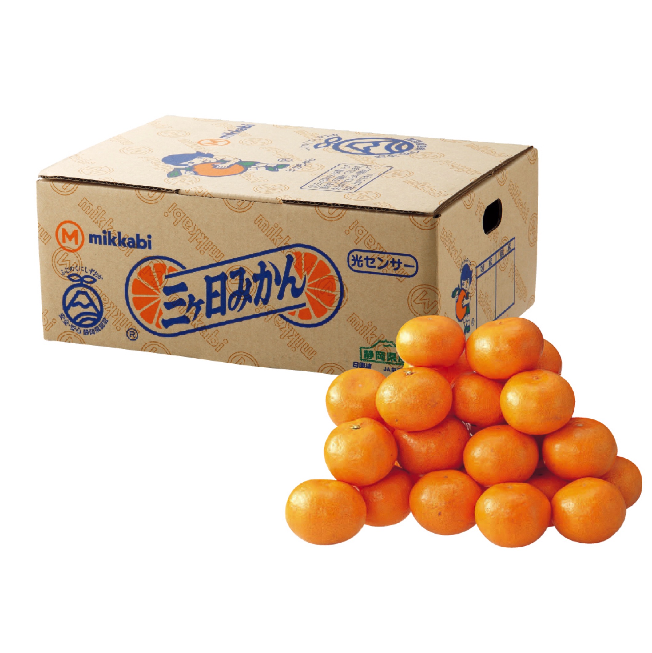 静岡県産（JA三ケ日） 三ケ日みかん（お届け期間：11/25～12/18