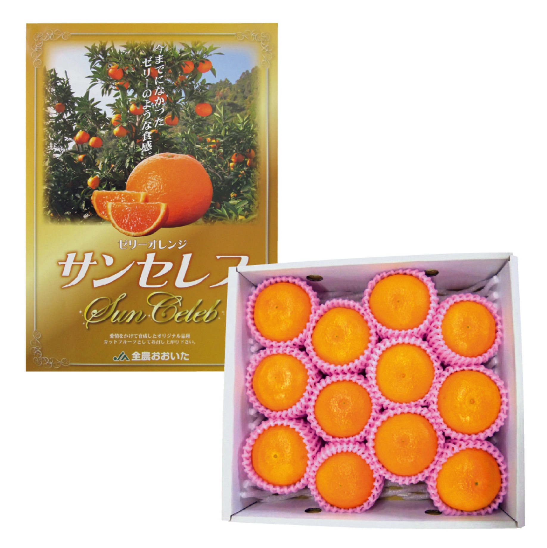 サンセリーテ　4枚セット 大分県産 ゼリーオレンジ・サンセレブ（お届け期間：11/25～12/31