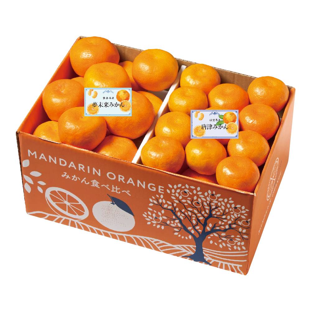 佐賀県産・熊本県産 九州みかん食べくらべ（お届け期間：11/15～12/28