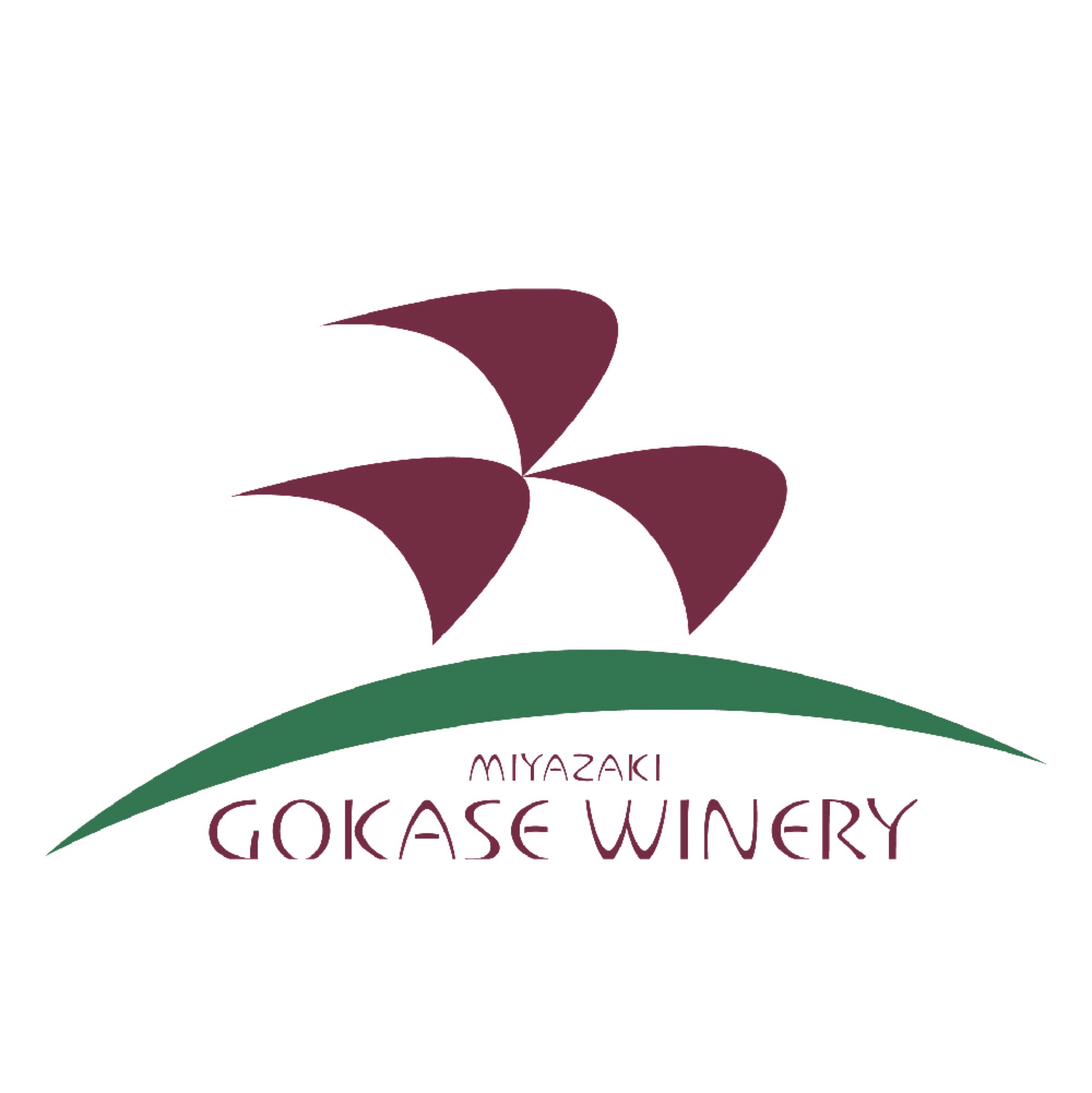 五ヶ瀬ワイナリー 五ヶ瀬ワイン2本セット | 【公式】イオン九州