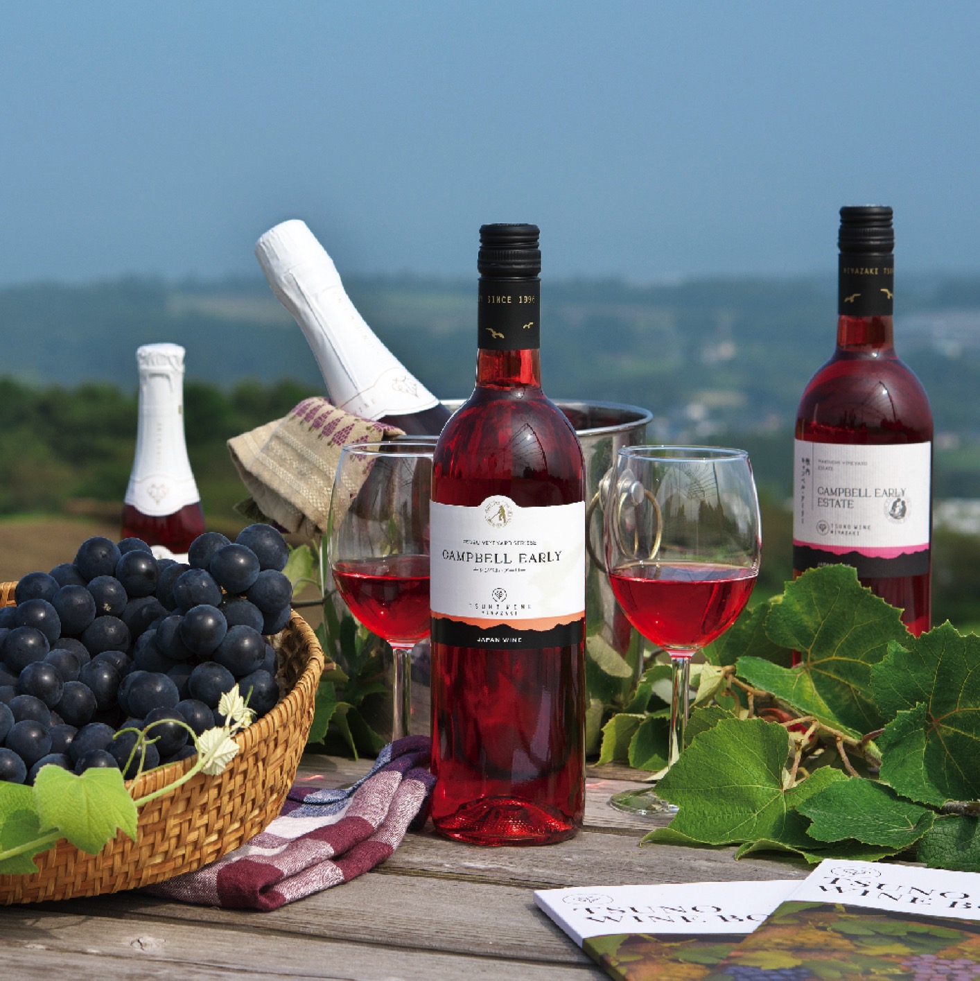 都農ワイン 都農ワイン2本セット G | 【公式】イオン九州オンライン