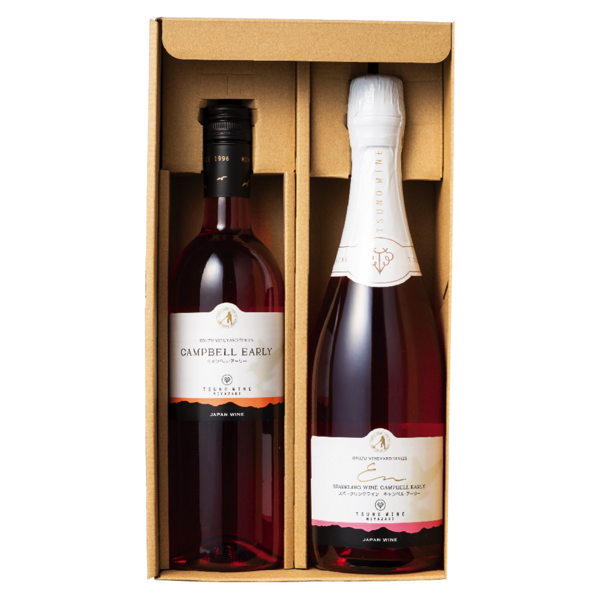 都農ワイン 都農ワイン2本セット G | 【公式】イオン九州オンライン